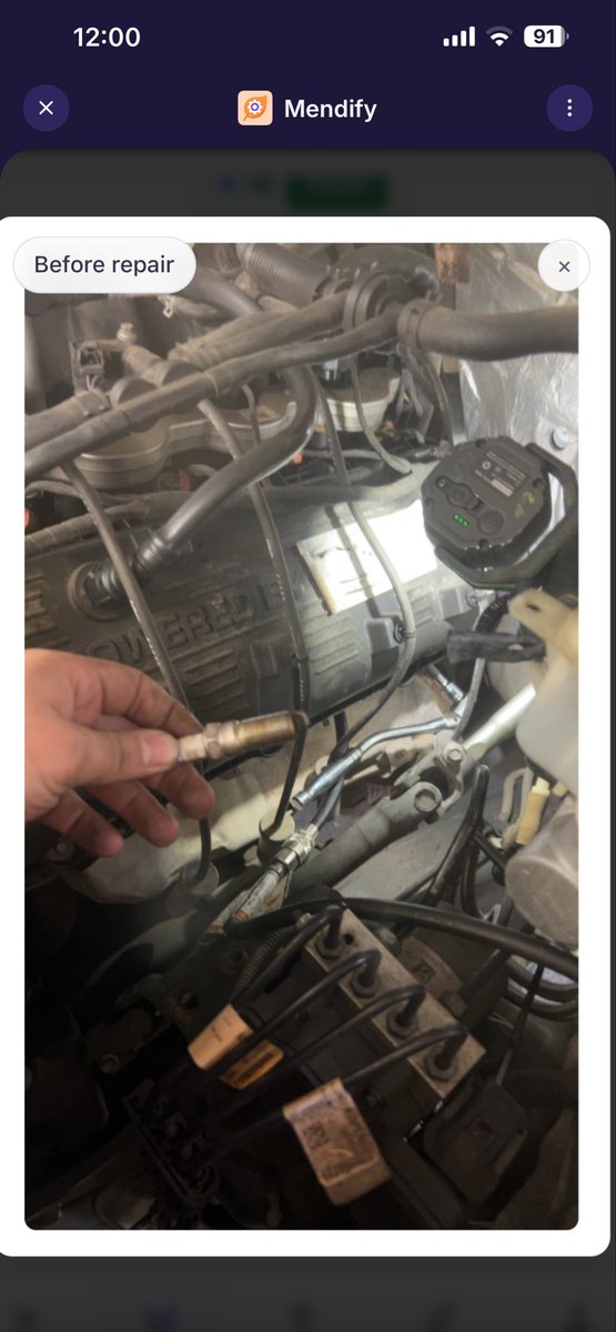 ElGatoFelíx tweet media