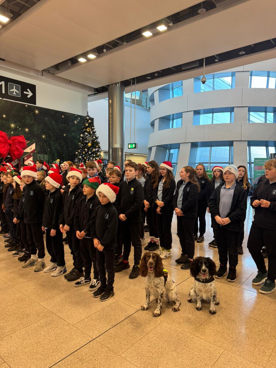 Dublin Airport tweet media
