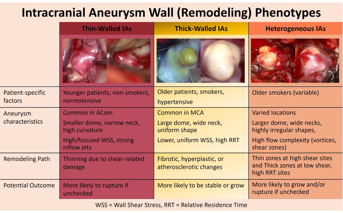 Stroke: Vascular and Interventional Neurology tweet media