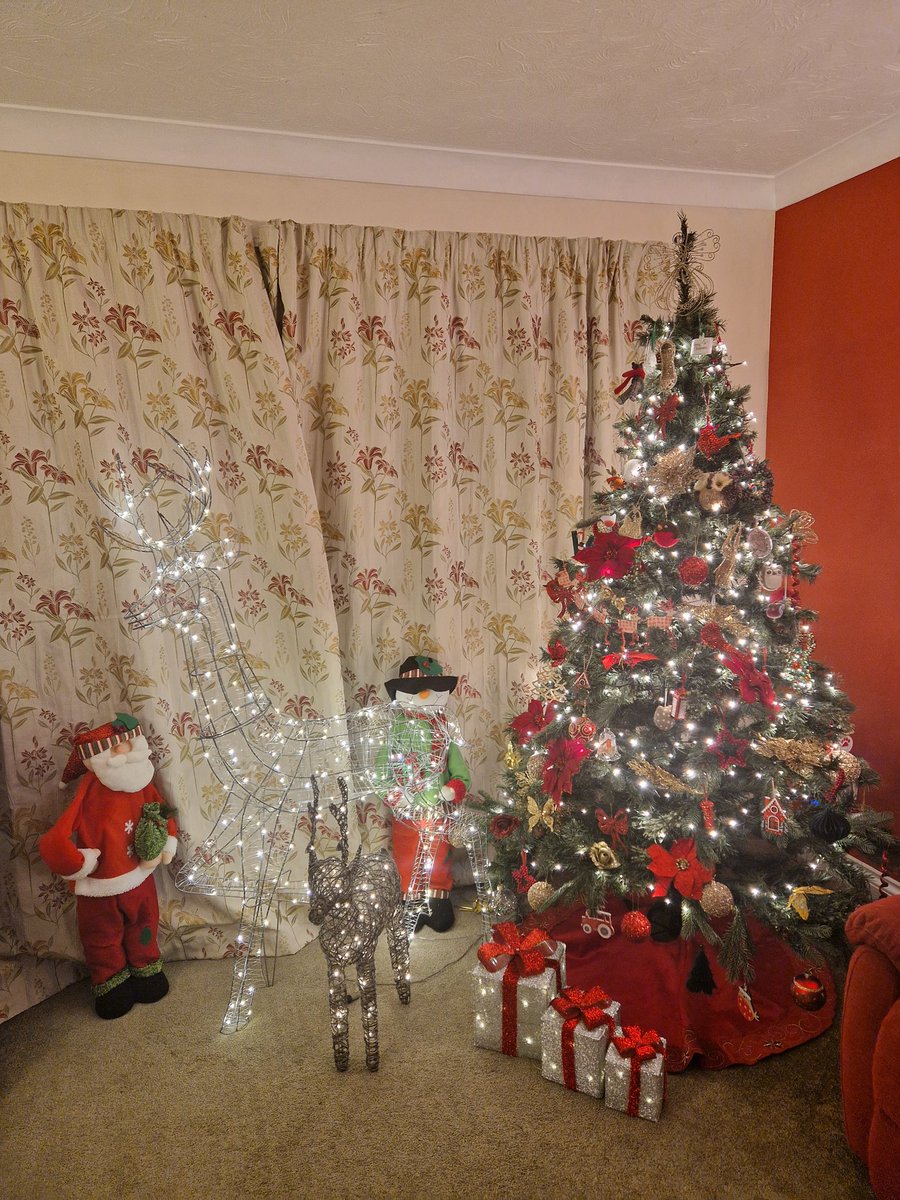 Vicky_Freeman's tweet image. It's starting to look a lot like Christmas 🎄