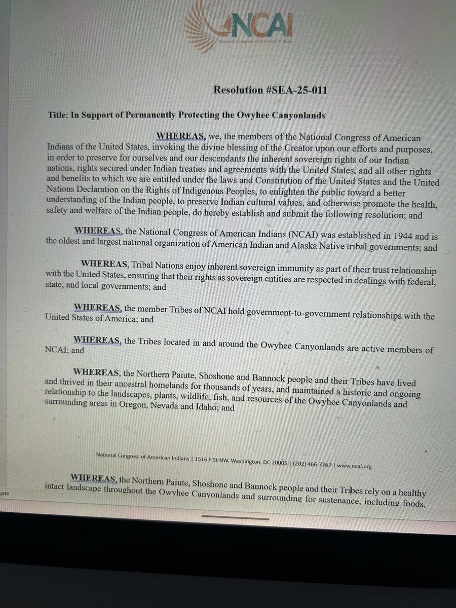 RonWyden's tweet photo. Big news for my Owyhee bill with @SenJeffMerkley to preserve 1 million+ acres of Eastern Oregon wilderness, increase grazing flexibility &amp; provide costewardship opportunities for the Burns Paiute Tribe.

Key pieces of the bill have earned support from the @NCAI1944. ⬇️ https://t.co/UhfzVZQROd