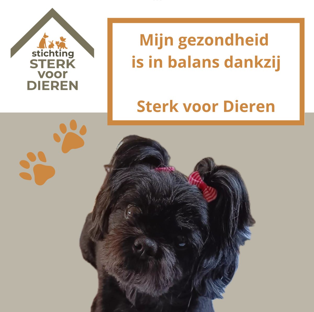 Morgen gaan er een stuk of 8 mensen lopen voor <a href="/SterkvoorDieren/">@StichtingSterkvoorDieren</a> Ik ben 1 van die lopers. Sterk voor Dieren heeft jullie hulp nodig om zoveel mogelijk huisdieren in medische nood te kunnen blijven helpen. Het is ZO vreselijk hard nodig!

Tot morgenavond (denk ik) kan er
