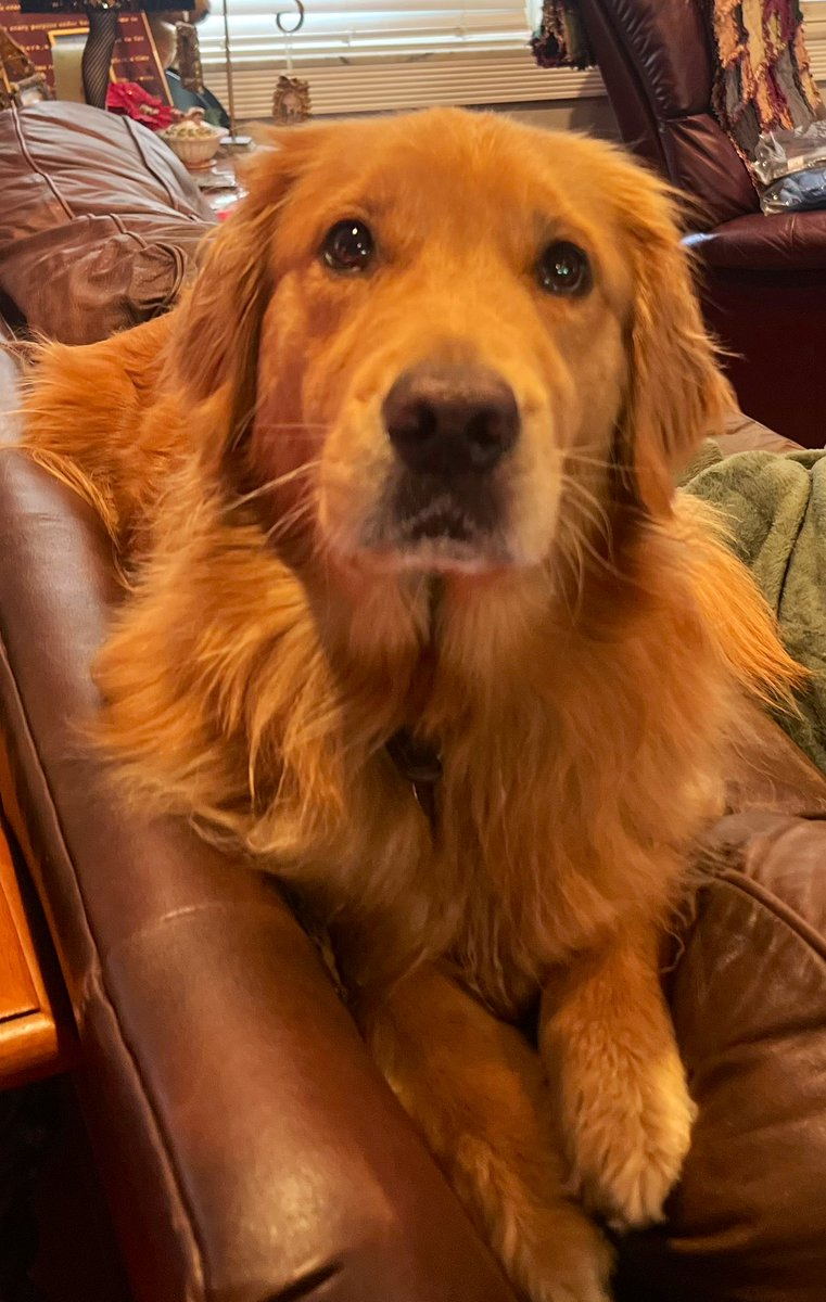 Beth Ann Nichols tweet media