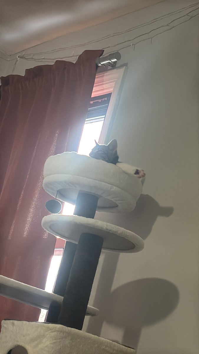 how’s he sittin like that