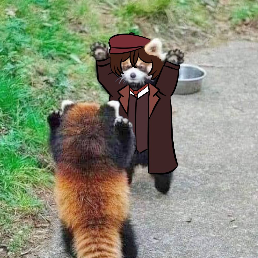 Isaias4082 tweet media