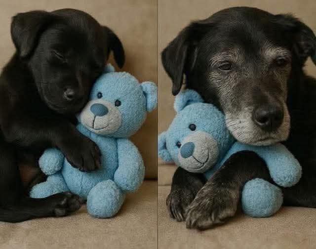 Animalesaprieto's tweet image. Ya creció. 😭