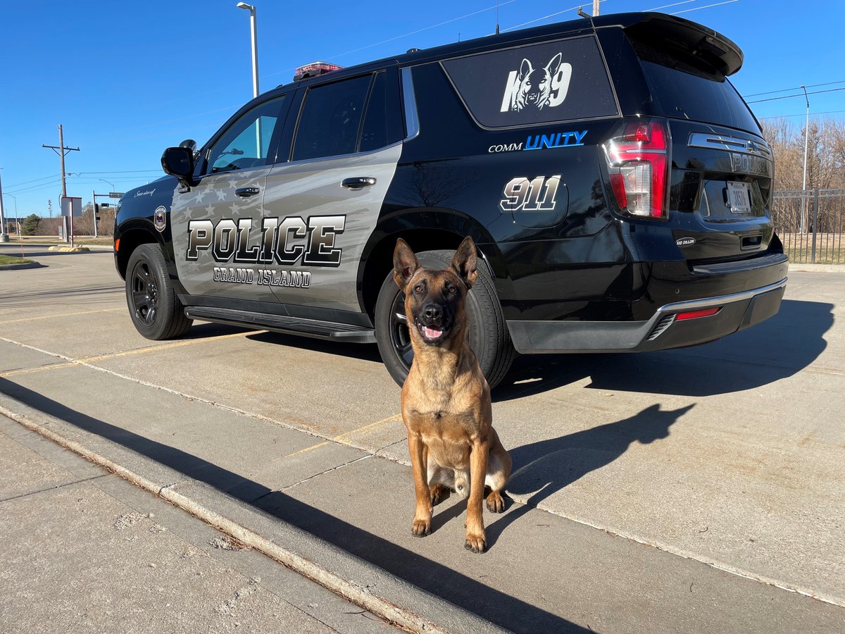 GIPoliceDept's tweet photo. 🐾🛡️ GIPD K9 Mando is getting extra protection!
Thanks to a generous donation from Vested Interest in K9s, Inc., Mando will receive a bullet- and stab-protective vest to help keep him safe on duty. 💙🐕🦺
#GIPD #K9Mando #PoliceK9 https://t.co/PsXpvSXFkT