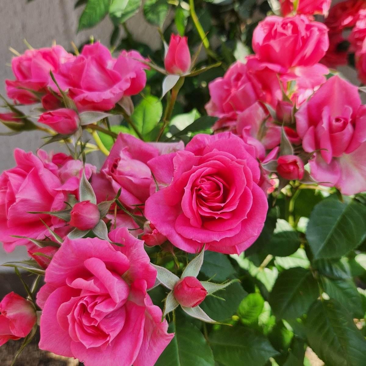 ヨッシー (@AOGSDkw5Qmr1X51) / Posts / X