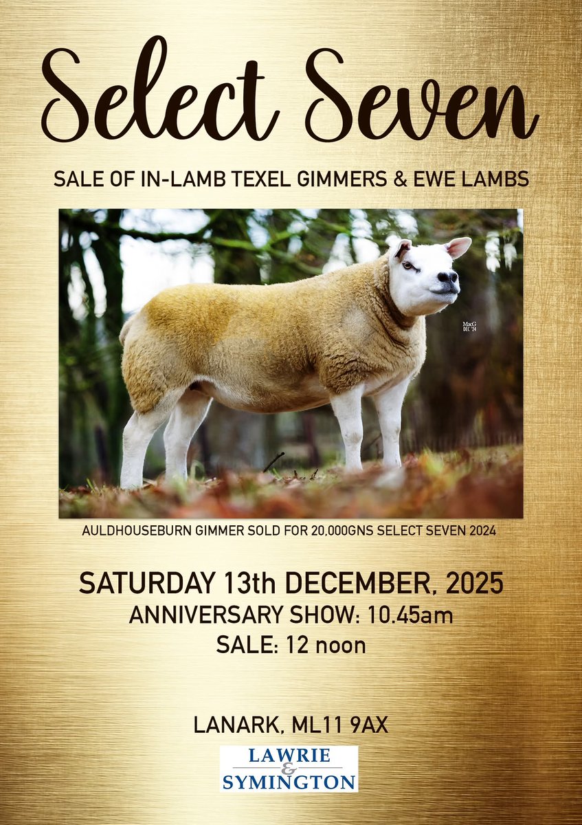 Jenna Ballantyne tweet media