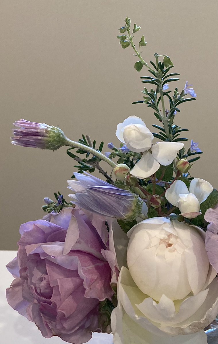 RoseHuskyDiamond (@agiIFulEBPHbVlq) / Posts / X