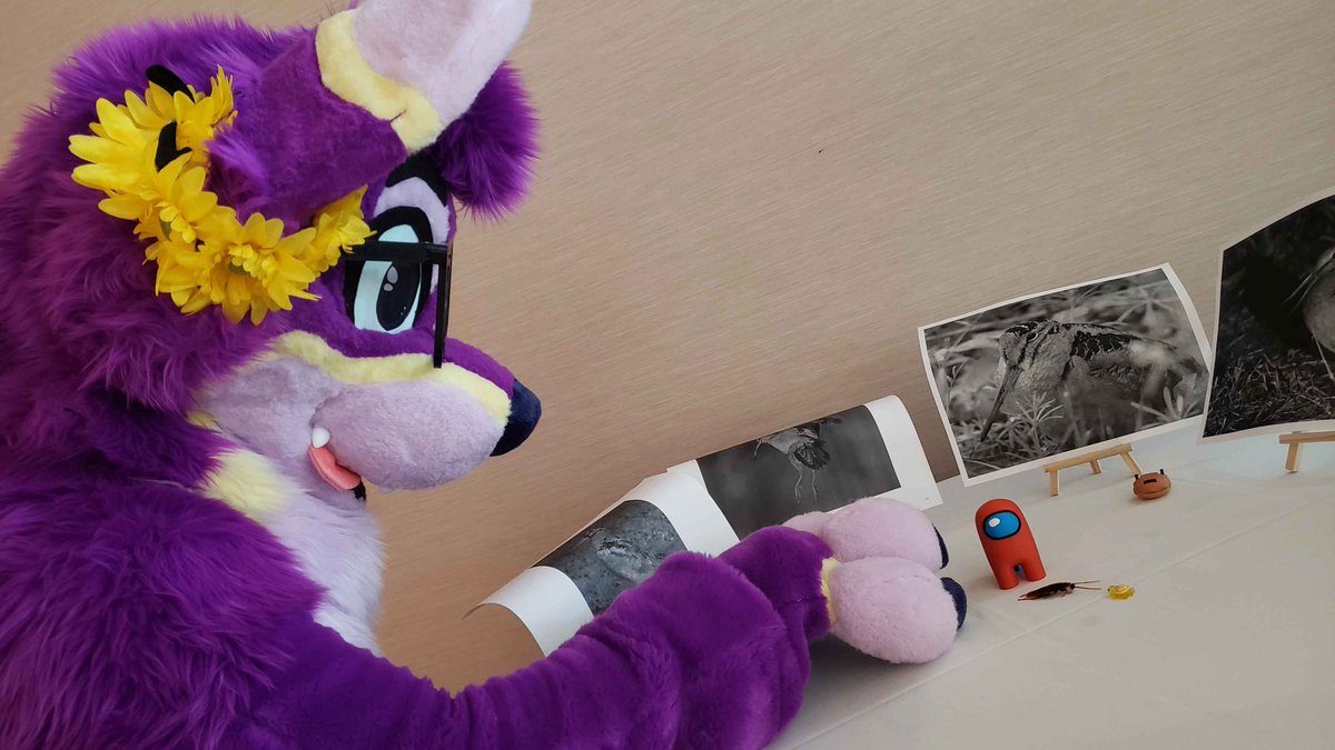 Amogus

📸 <a href="/baxusfox/">Baxus</a>
🪡 <a href="/PlushButtons_/">Plush Buttons 🔜 NYFB Dealers</a>

#FursuitFriday