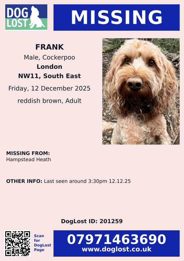 🆘12 DEC 2025 #Lost Frank #ScanMe
Cockerpoo Male
Hampstead Heath #NW11
#London #GreaterLondon 
Last seen around 3:30pm 12.12.25
doglost.co.uk/dog/201259