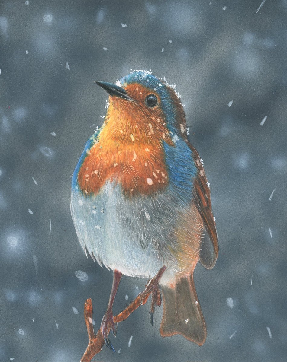 そんな感じの色鉛筆画 (@sonnakanjidesu) / Posts / X