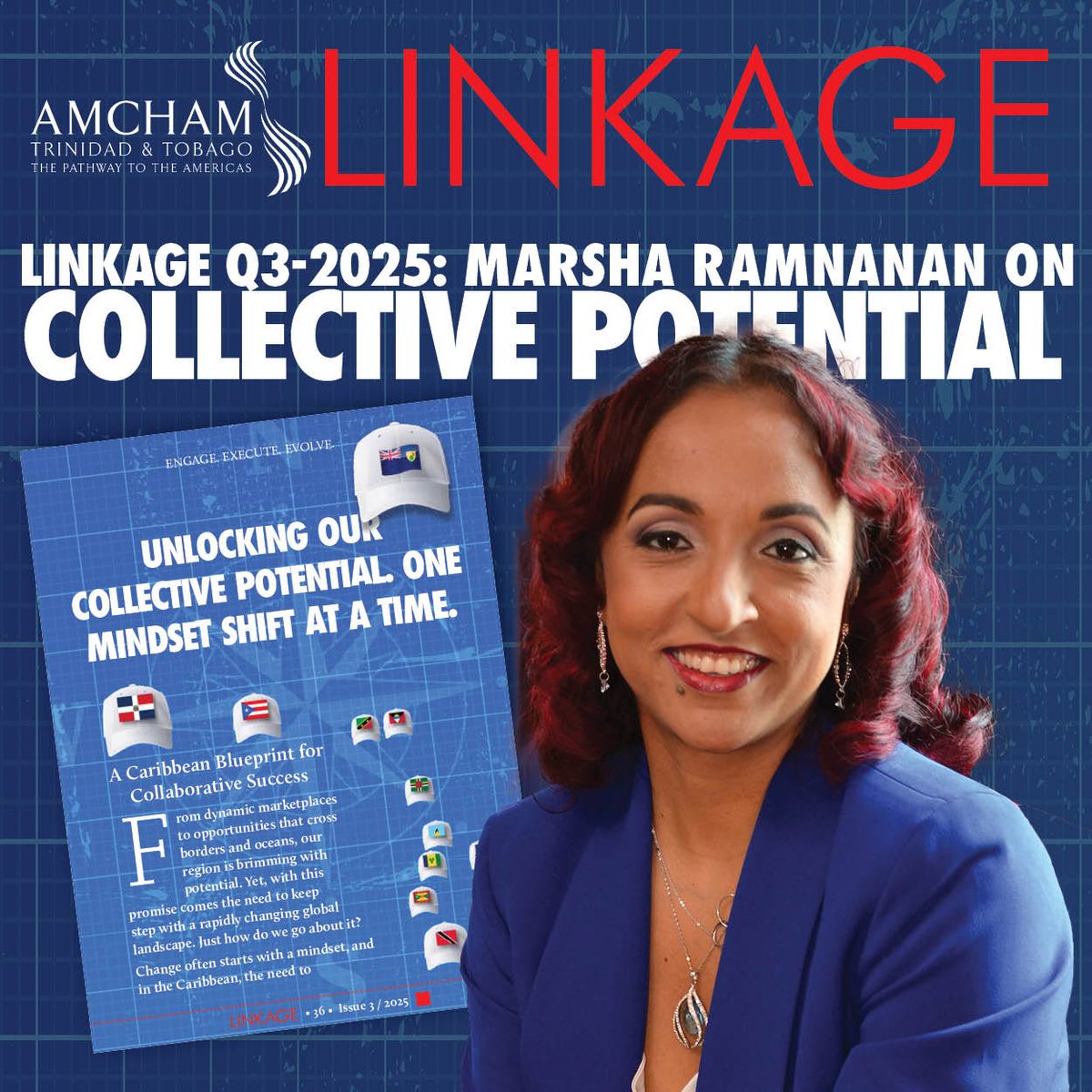 AMCHAM T&T tweet media