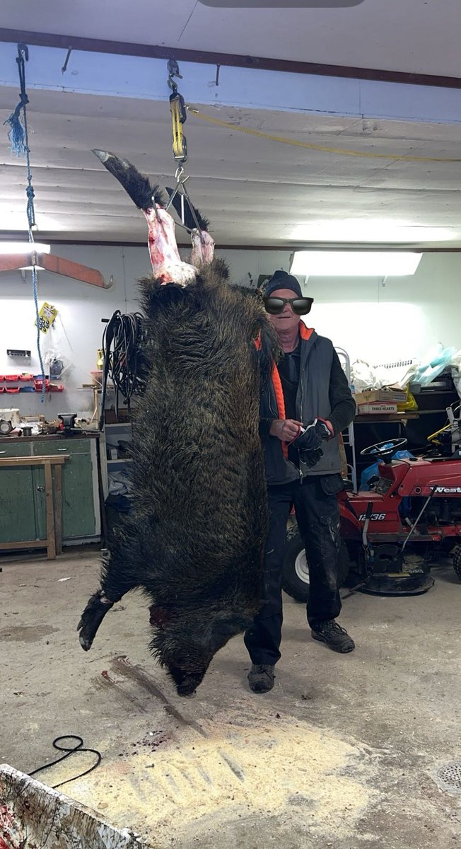 linus oskarsson (@linusfiske) on Twitter photo 