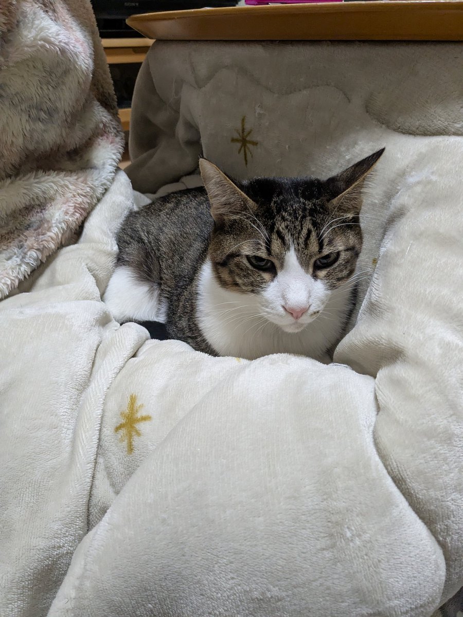 ワカとヤマ (@wakaandyama) / Posts / X