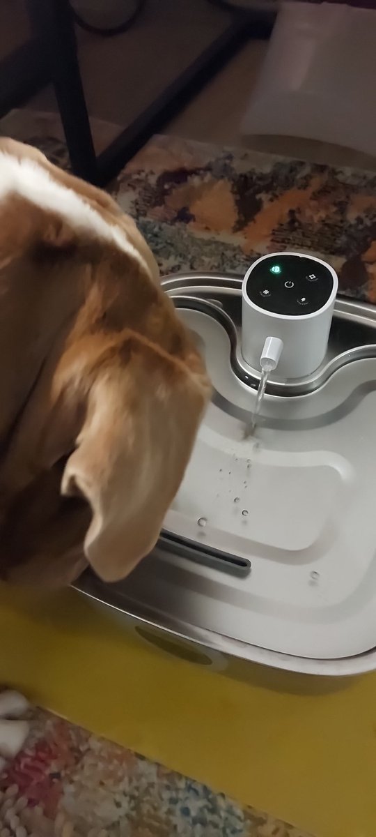 irisA201's tweet image. Fraule hat mir was gekauft... ich find's a bissle gruselig, weil es anfängt zu platschern,  wenn ich dran vorbei laufe