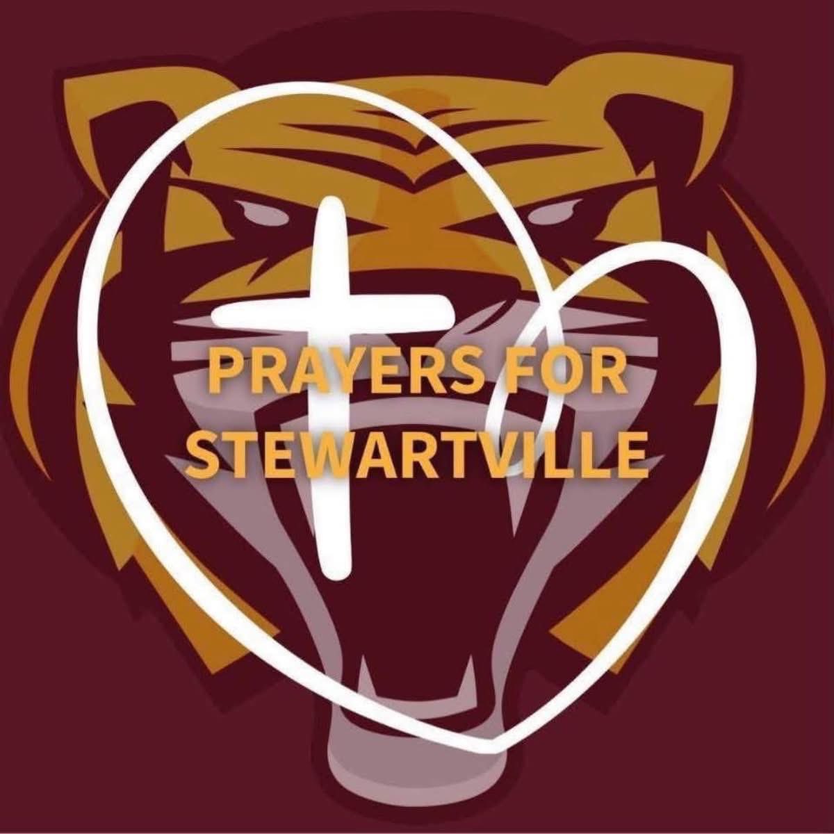 StewieGBB's tweet image. #TigerStrong🐅