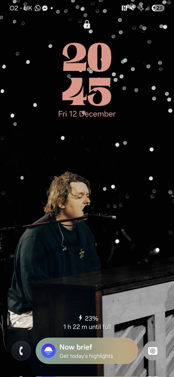 Bee 🐝 tweet media