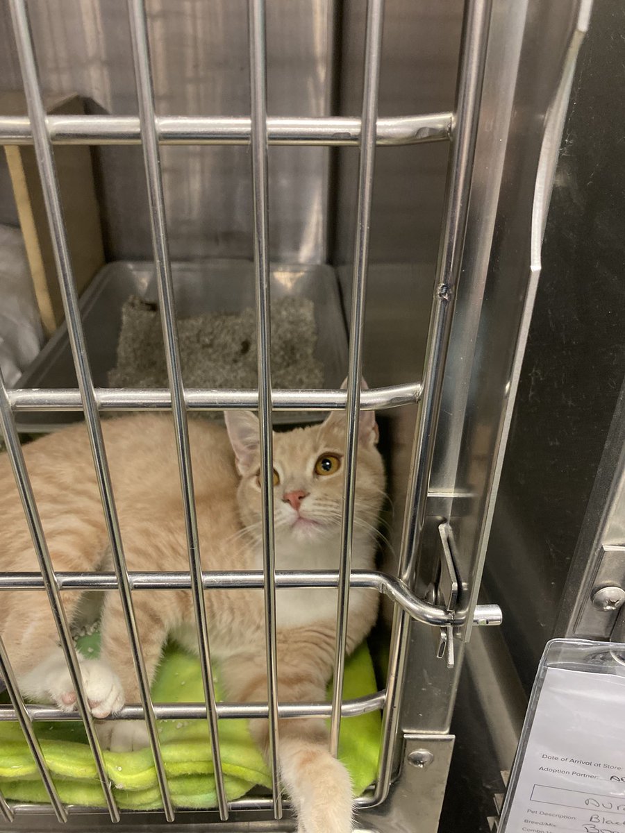 ⛓️‍💥 ranch ⛓️‍💥 tweet media