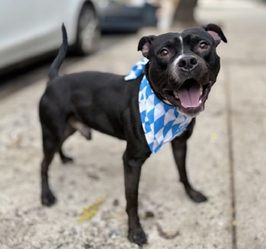 Julie🌻🐾 tweet media