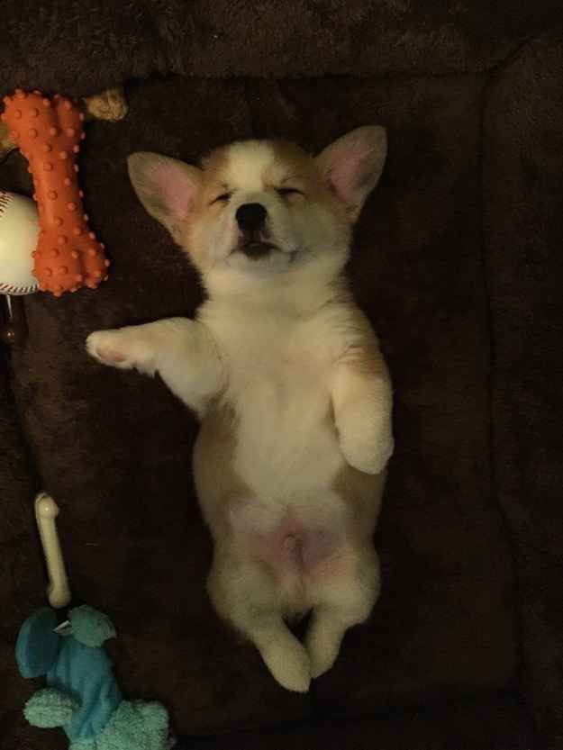 Oasisaspets's tweet photo. Liambellyrubs https://t.co/wrOEZwuhFY