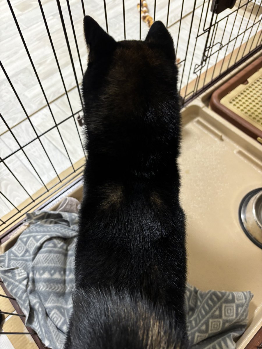 おはようございます。
今日は土曜日
本日もはじまりますよ〜