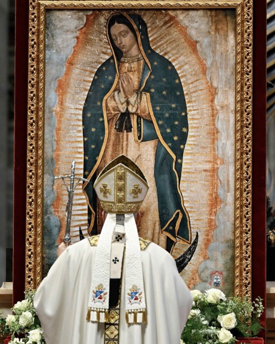 CatholicCassie's tweet image. First American Pope is devoted to Our Lady of Guadalupe
