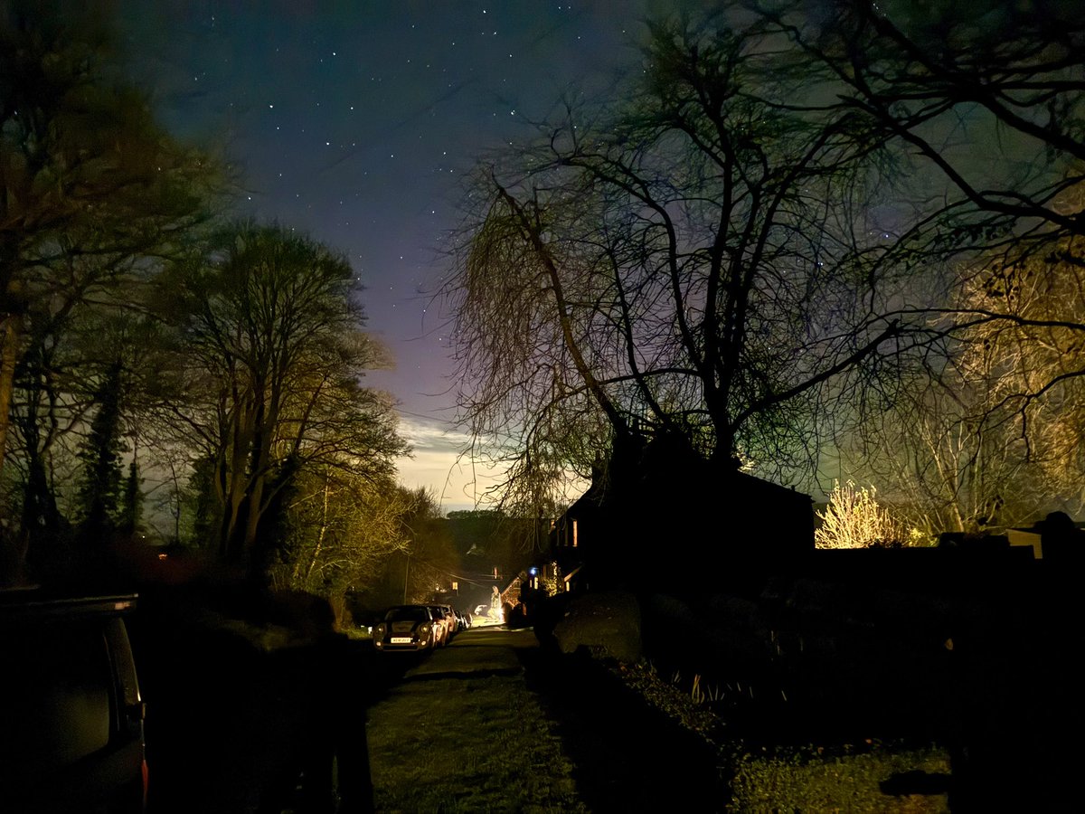 Mike Shaw tweet media