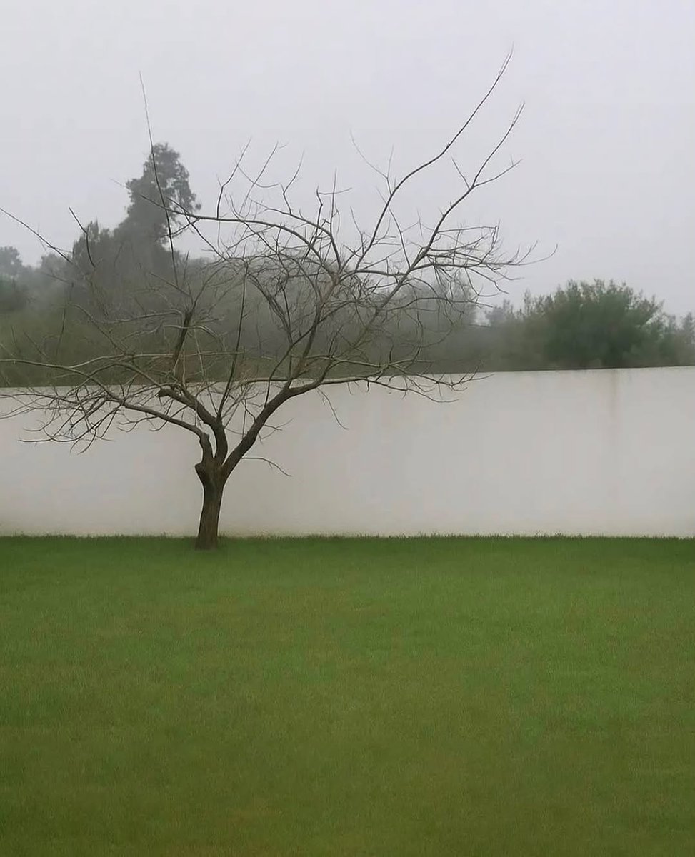 What seemed like a tranquil lake was actually just a fence in disguise.