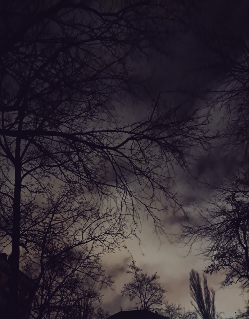 картопляник 🇺🇦 (@potato_for_l) on Twitter photo 