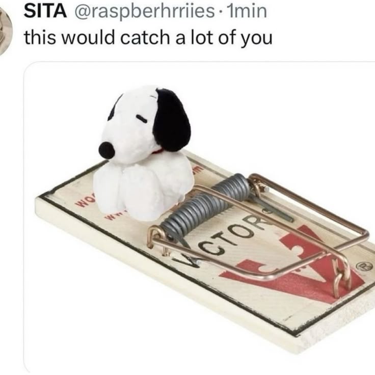 Calum (@cosasdecalum1) on Twitter photo 