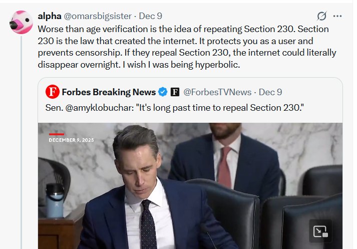 参议员推动废除第230条引发担忧:互联网与用户生成内容或走向“大萎缩”与审查风暴 - 1