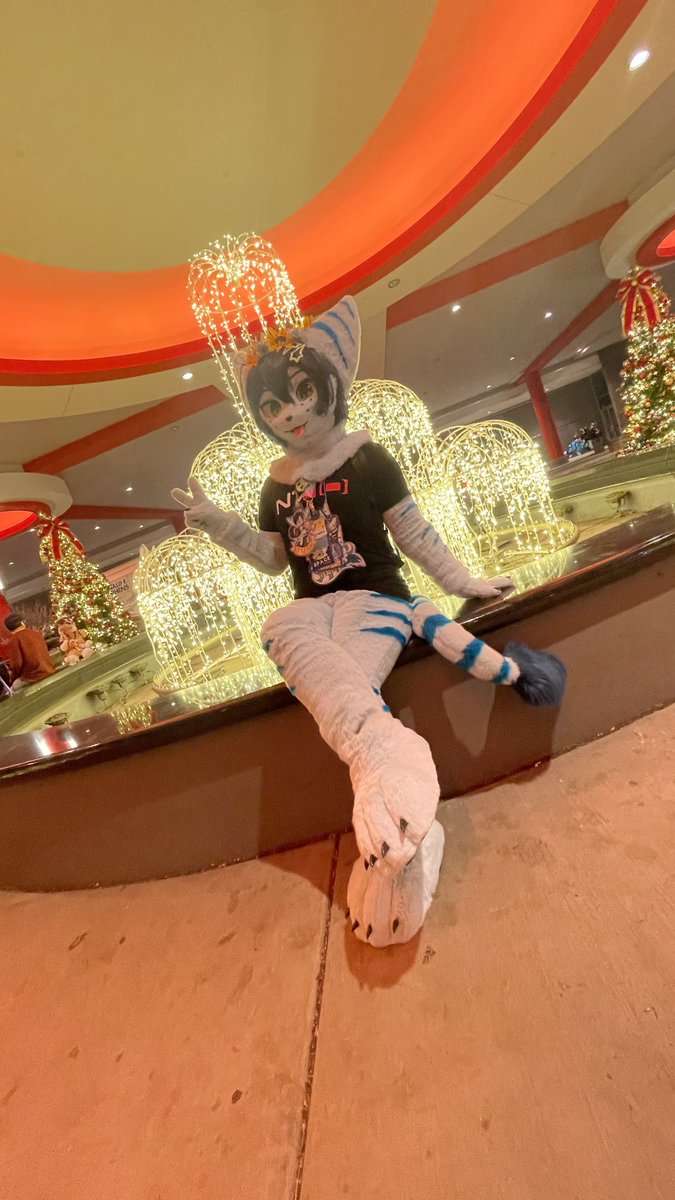 Twitch🛸Lombax tweet media