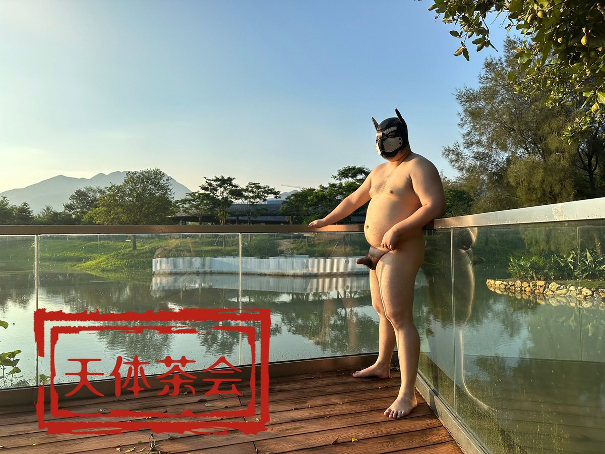 天体茶会 tweet media