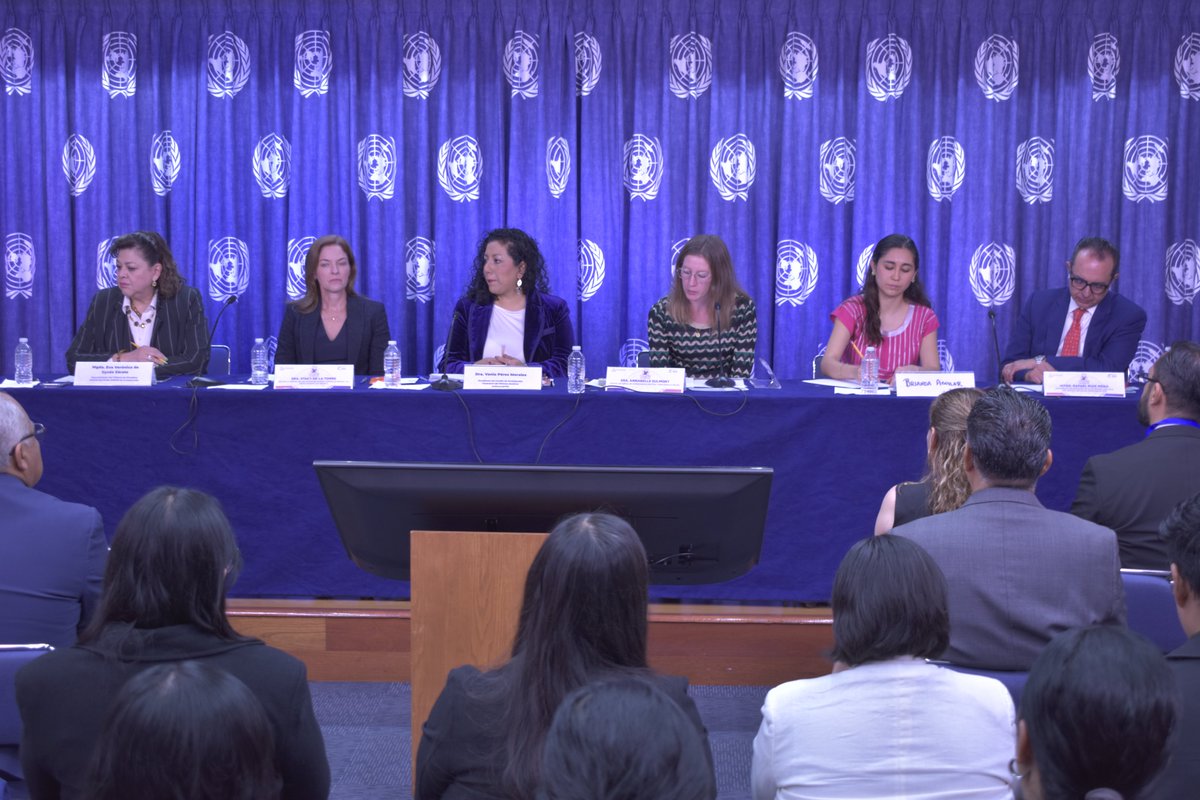 PNUD México tweet media