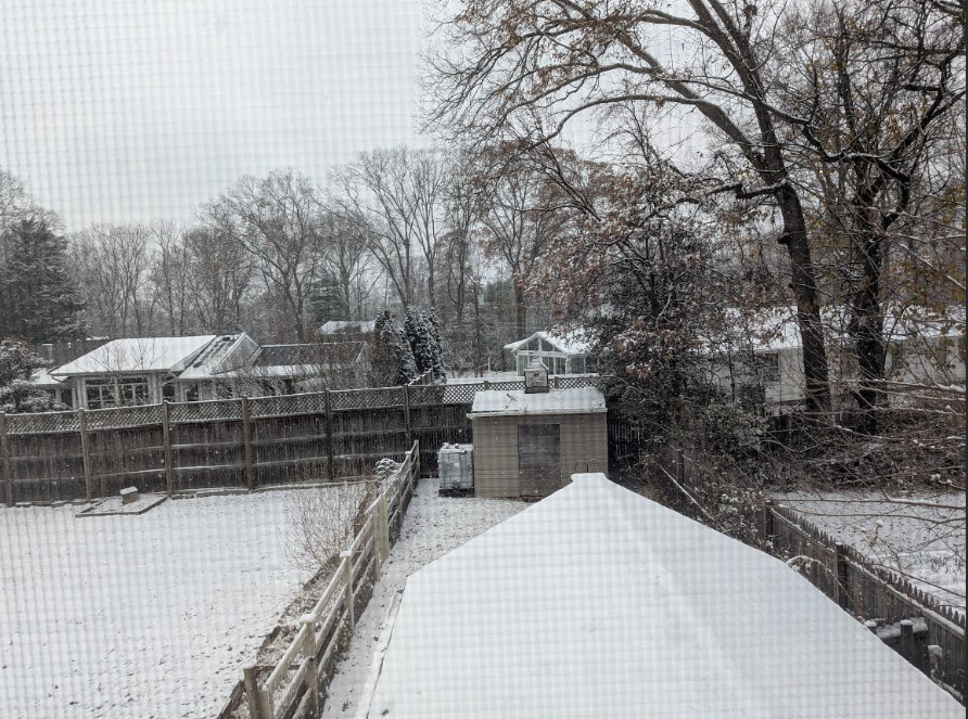 Abby tweet media