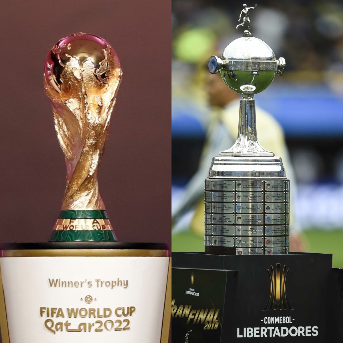 _TobiasRP's tweet photo. Firmas NUNCA MÁS ver a Argentina jugar el Mundial a cambio de ganar una Libertadores? https://t.co/PZdD8LXs0j