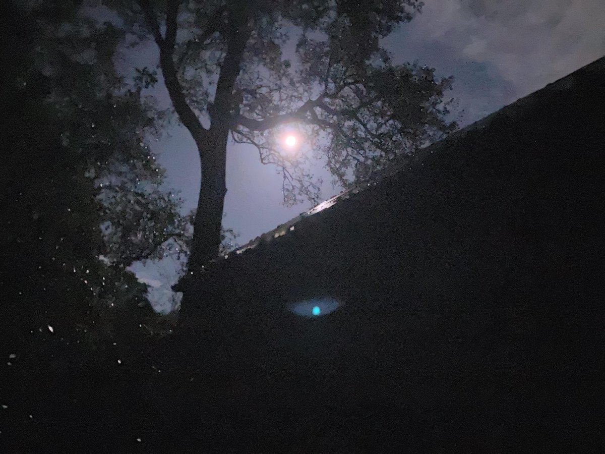 R0bertR4ph4el's tweet photo. Photos to make music to (7): Summer Night in the South #crickets #deepsouth #stillness #warmth #music https://t.co/VzraB9TBJ4