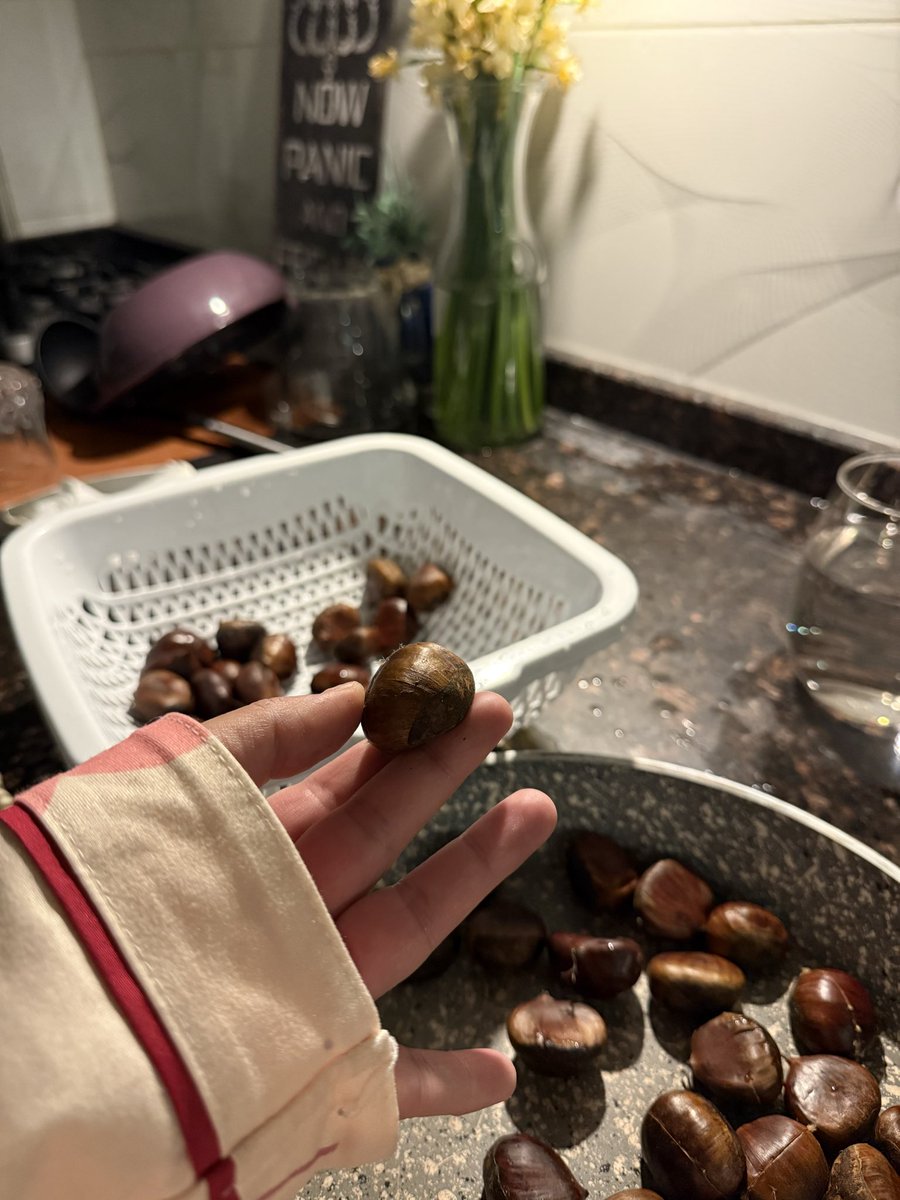 prensesler için ÇİZİLMİŞ kestane rica ediyorum 
GÜCÜMÜZ YETMİYOR