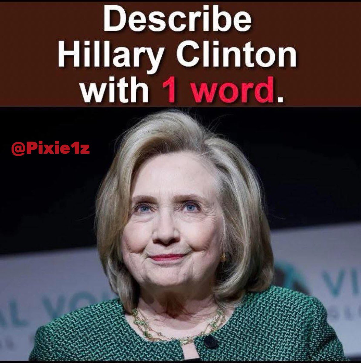Pixie1z's tweet photo. Describe Hillary in one word. https://t.co/8x65PbYlzw