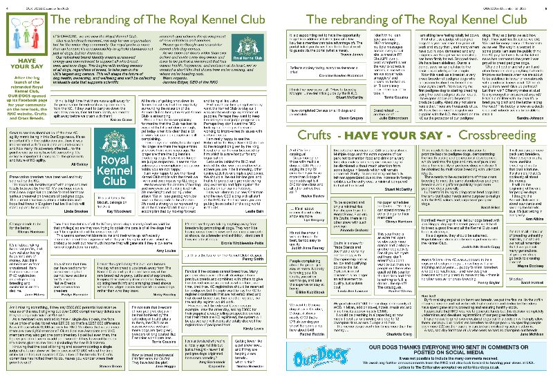 OUR DOGS tweet media