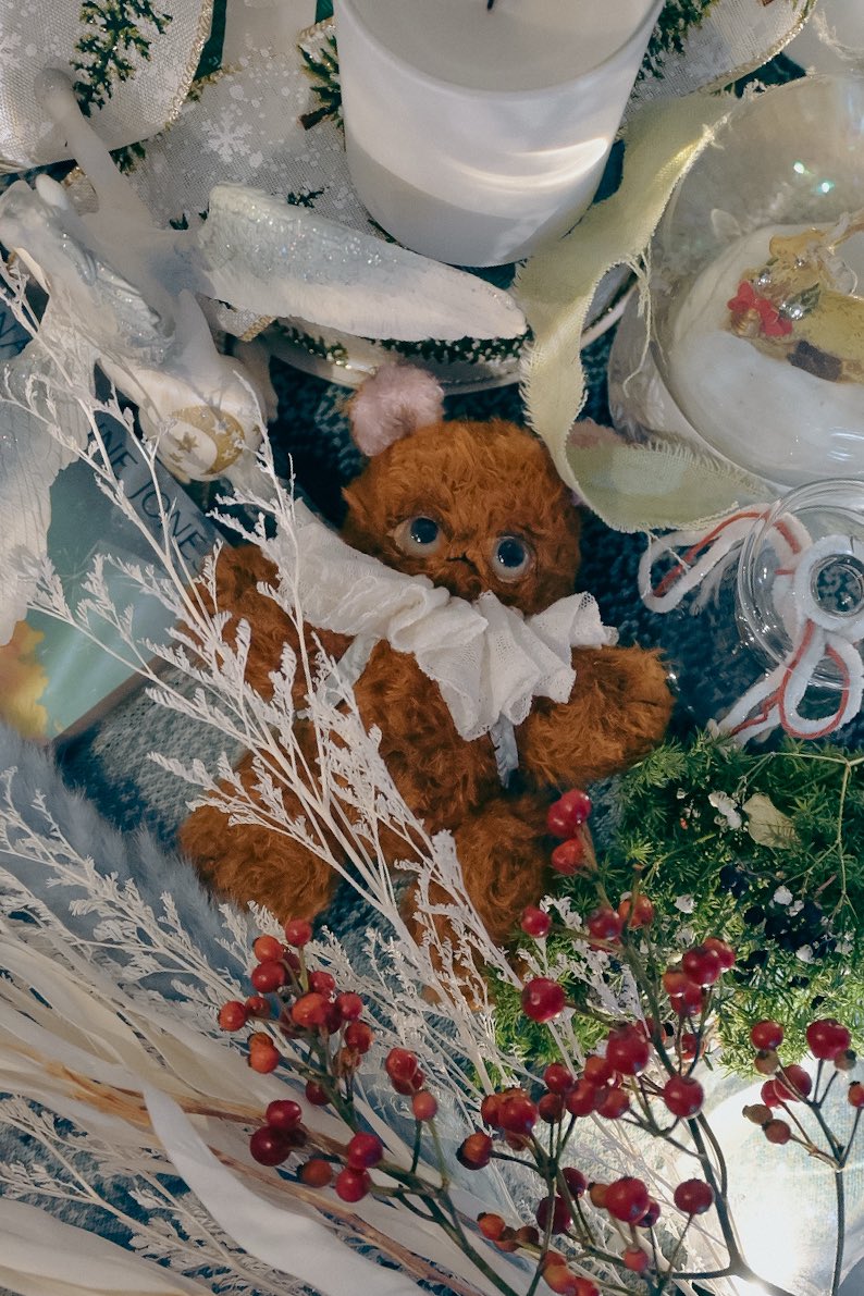 SAOZI_LOW's tweet photo. テディベアのルルラ🧸🪽
#小悪魔ルルラ https://t.co/Kkyspg7Wxs