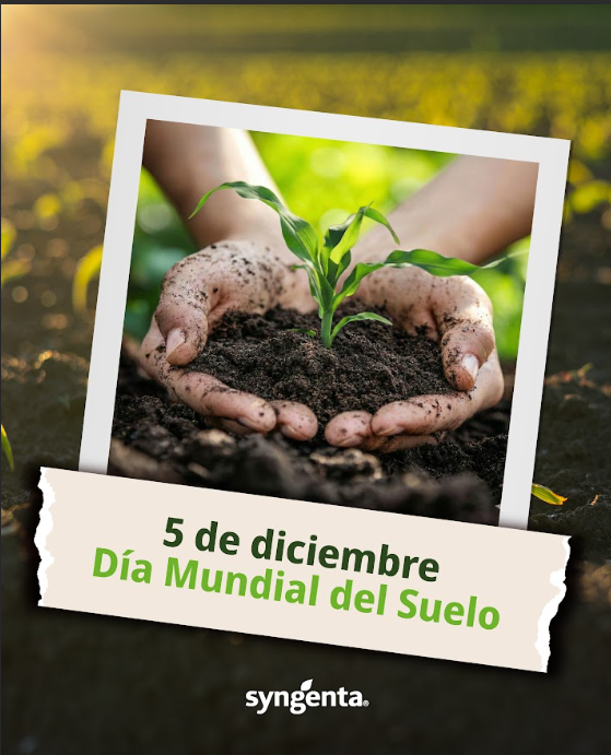 Alex_MiguelPL's tweet photo. En el Día Mundial del Suelo, reforzamos la importancia de cuidar este recurso que garantiza la producción de alimentos. 
Un suelo sano es clave para la salud ambiental, la regeneración y un poderoso aliado en la mitigación de los efectos del cambio climático.
#DíaMundialDelSuelo https://t.co/AmLMVYiP5l