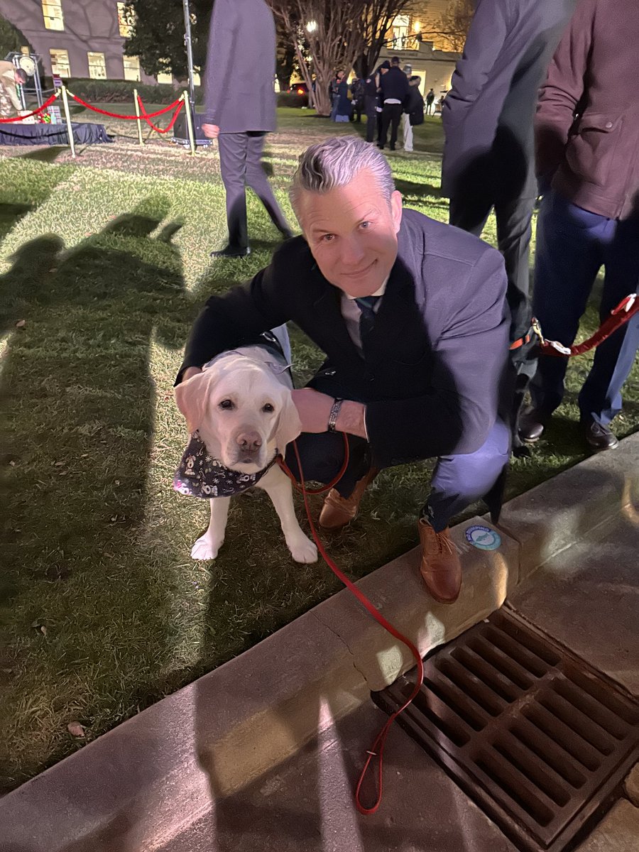 Hero Labradors tweet media