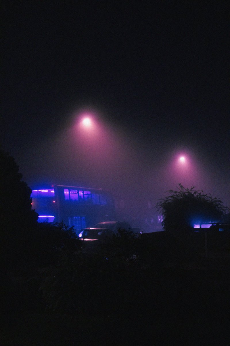 emilybakerphoto's tweet image. We could steal time just for one day