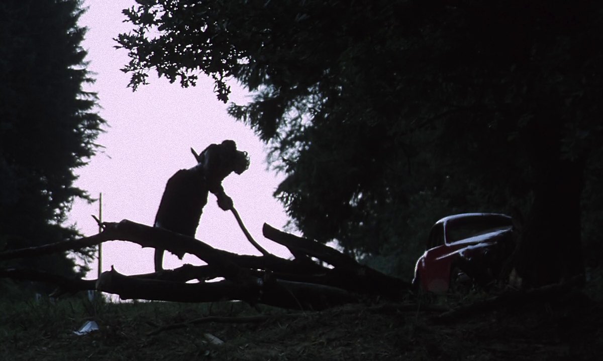 HauntedMovies's tweet photo. Daughters of Darkness (1971) dir. Harry Kümel https://t.co/DfwBAAsg3k