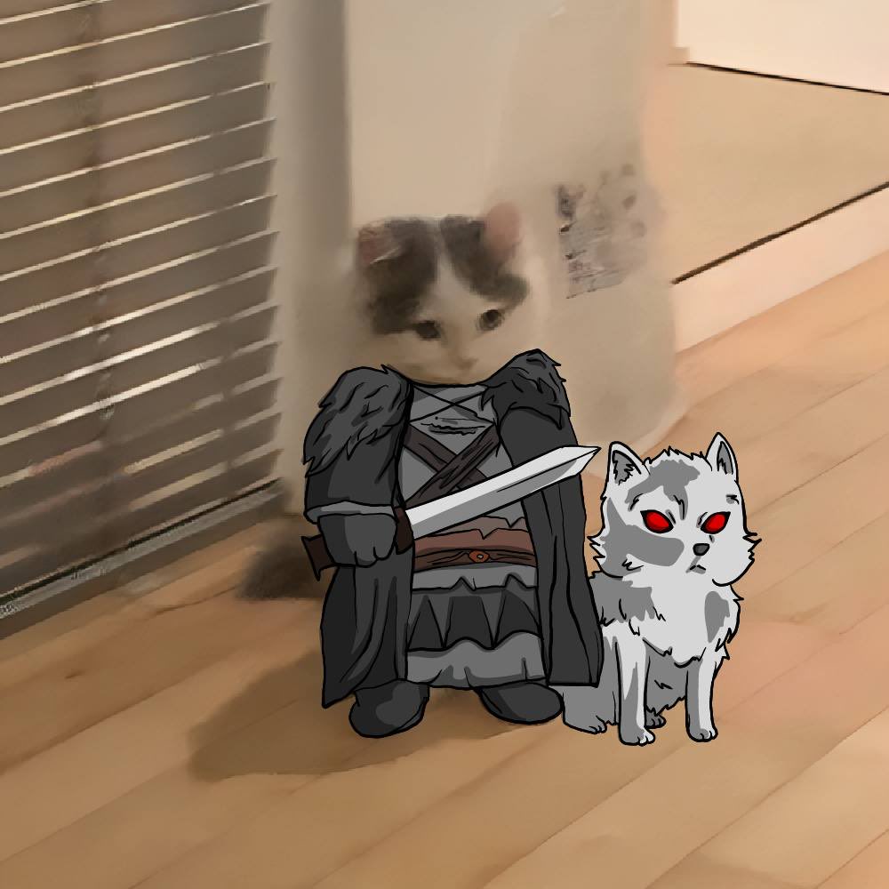 michi (@michionsolana) on Twitter photo 