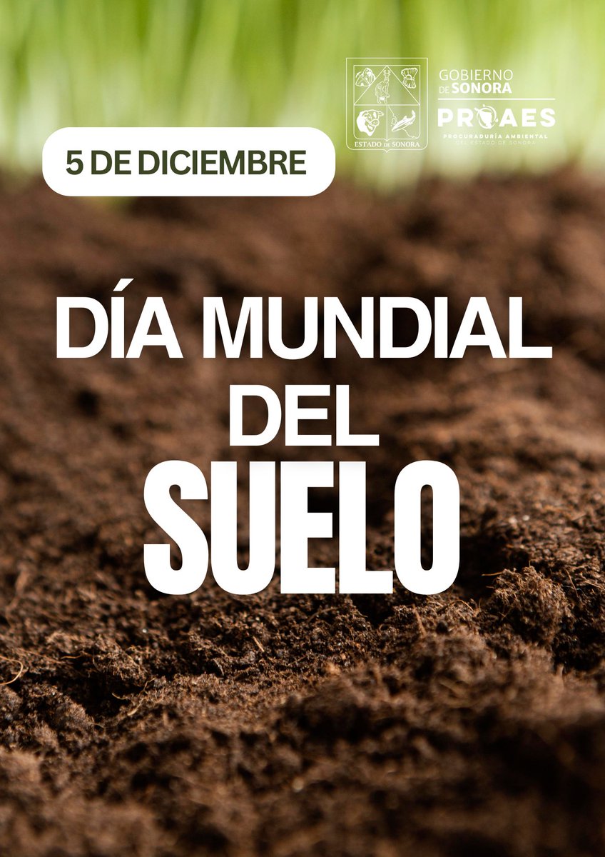 Día Mundial del Suelo | 5 de diciembre

Cuidar el suelo es proteger nuestra salud, nuestra producción de alimentos y el equilibrio ambiental.
Gracias al compromiso del gobernador <a href="/AlfonsoDurazo/">Alfonso Durazo</a> seguimos impulsando acciones para la conservación de nuestros recursos naturales.