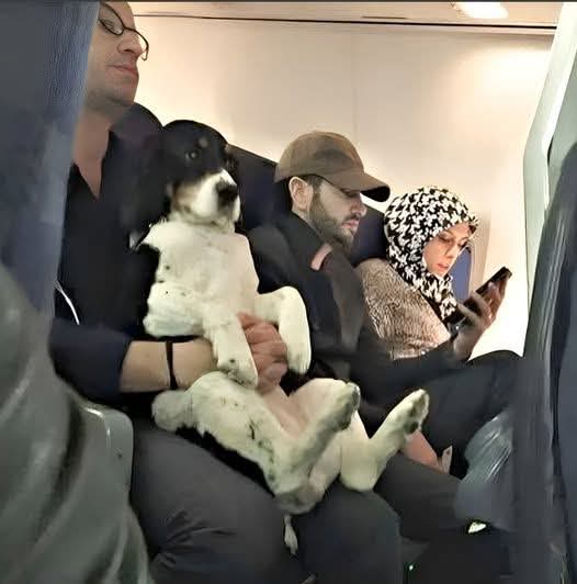 I was at the airport today when I witnessed something I’ll never forget. It was one of those quiet moments that hits you without warning, leaving a lump in your throat and a warmth in your chest all at once.

I noticed a man standing near the boarding gate, holding his dog